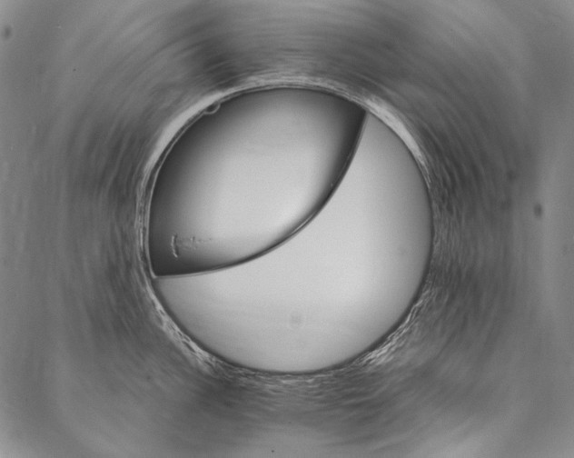 X0000087041148200705091104
