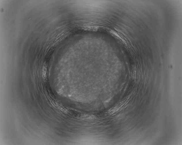 X0000087041154200705091104
