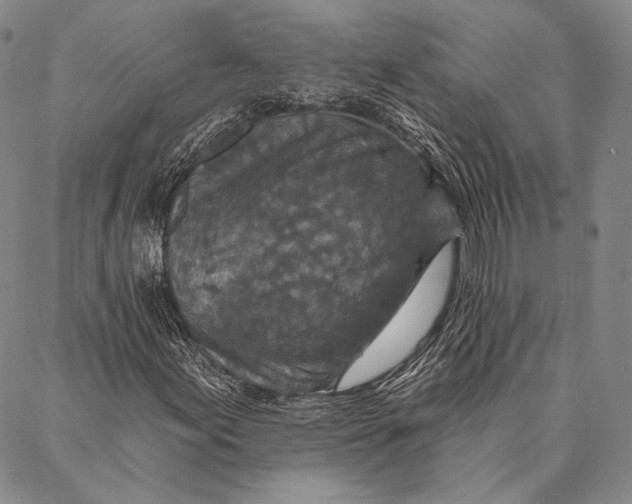X0000087041155200705091104