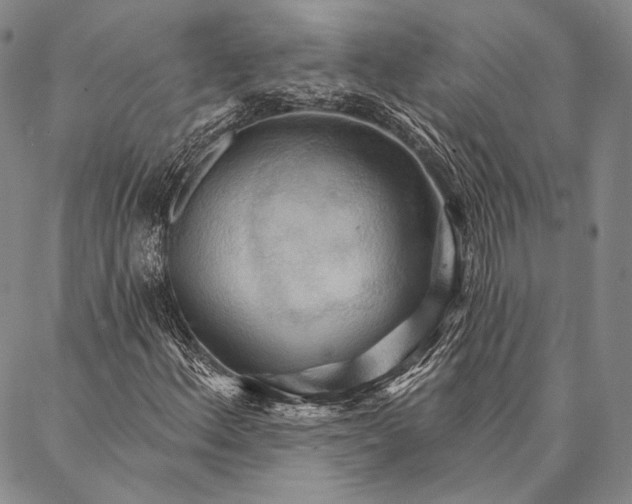 X0000087041156200705091104