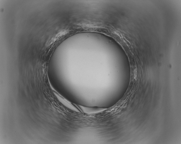 X0000087041157200705091104