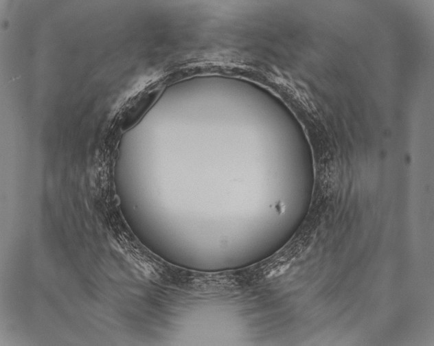 X0000087041159200705091103