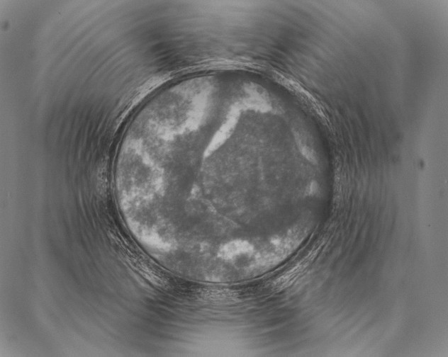 X0000087041170200705091103