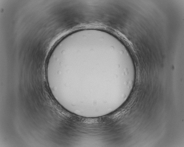 X0000087041174200705091103