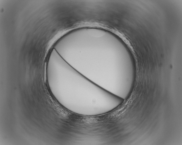 X0000087041175200705091103