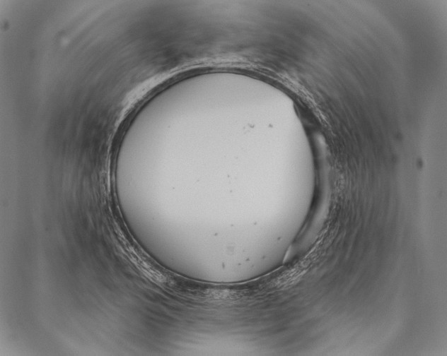 X0000087041176200705091103