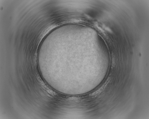 X0000087041178200705091103