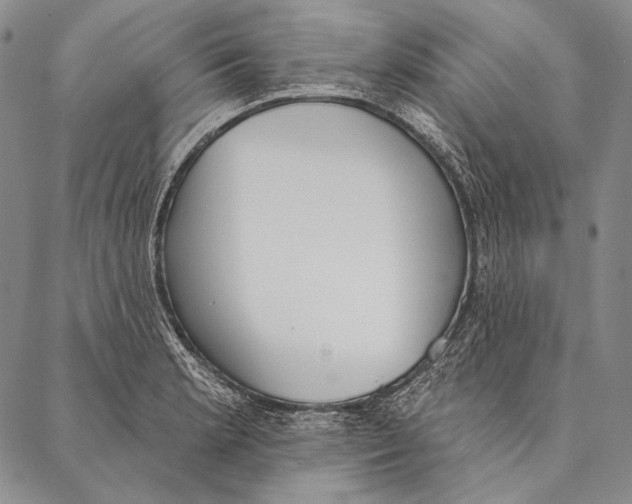 X0000087041181200705091103