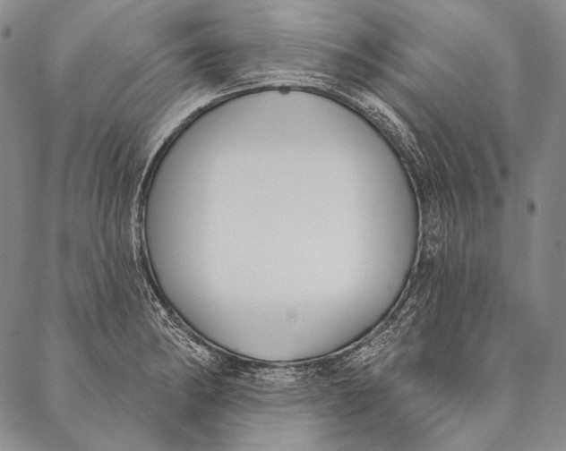 X0000087041182200705091103