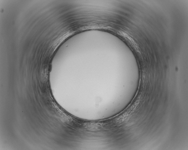 X0000087041185200705091103