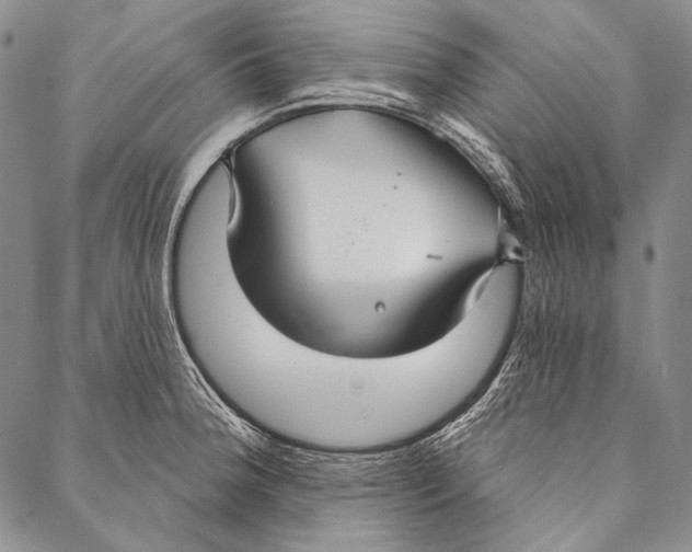 X0000087041188200705091103