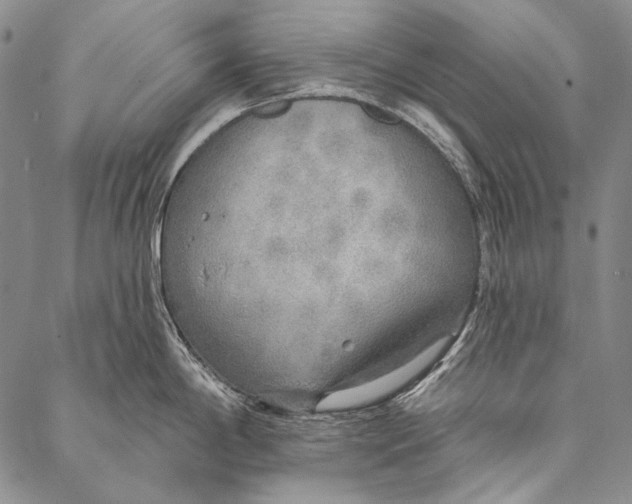 X0000087041198200705091103