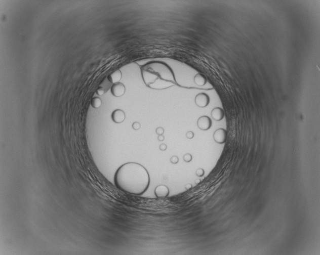 X0000087041201200705091102
