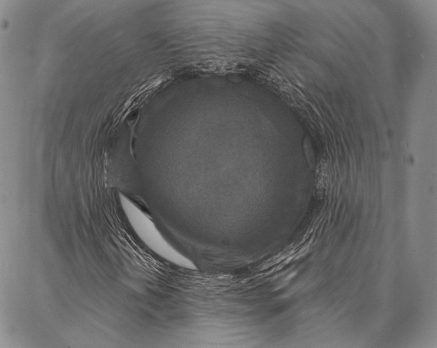 X0000087041202200705091102