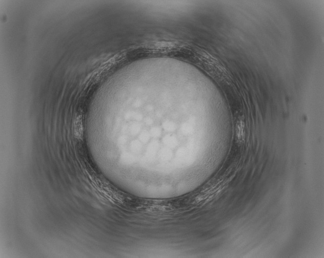 X0000087041204200705091102