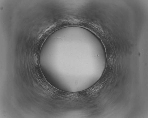 X0000087041205200705091102