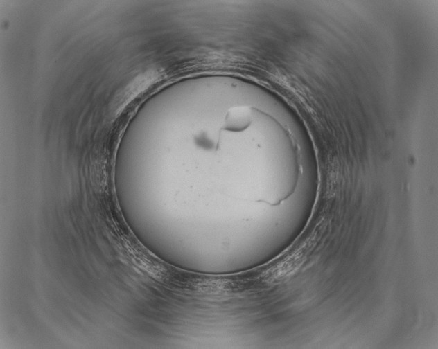 X0000087041211200705091102