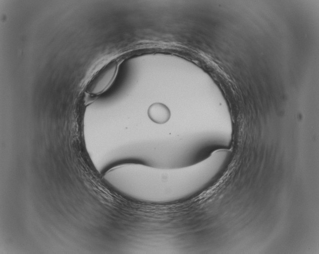 X0000087041215200705091102