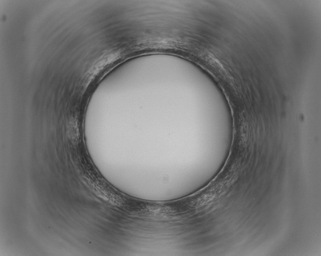 X0000087041218200705091102
