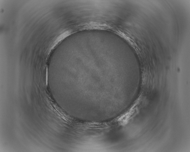 X0000087041219200705091102