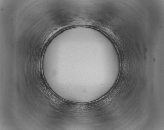 X0000087041220200705091102