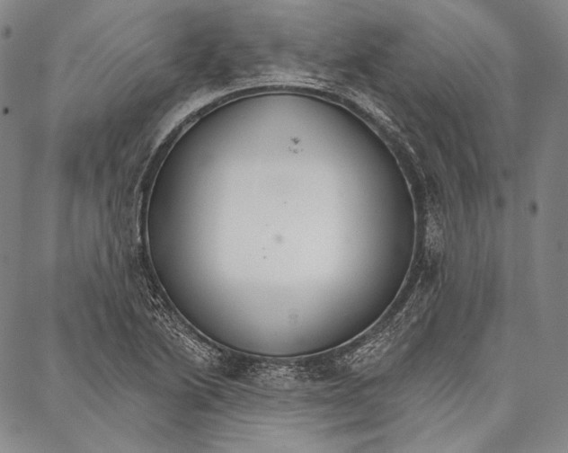 X0000087041222200705091102