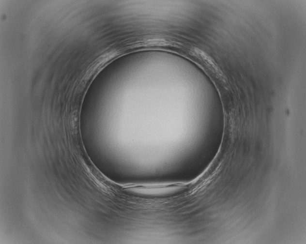 X0000087041225200705091102
