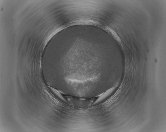 X0000087041226200705091102