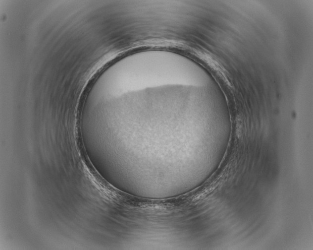 X0000087041229200705091103