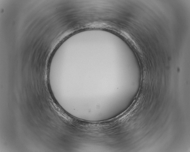 X0000087041232200705091103