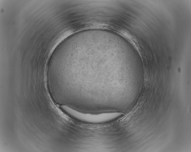 X0000087041235200705091103