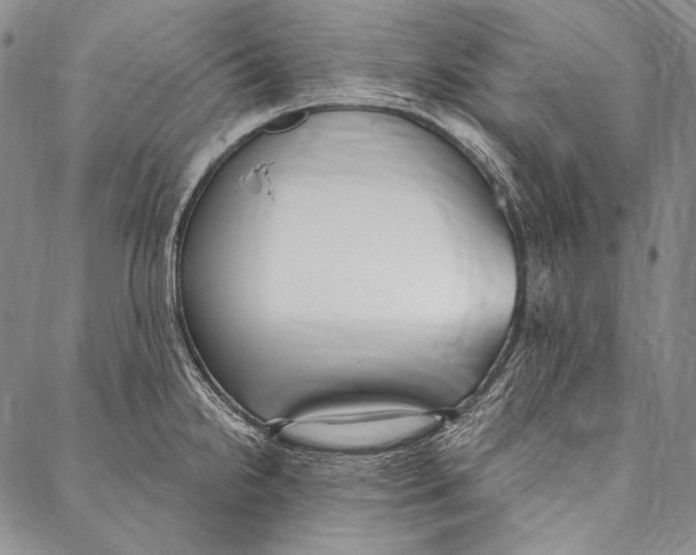 X0000087041238200705091103