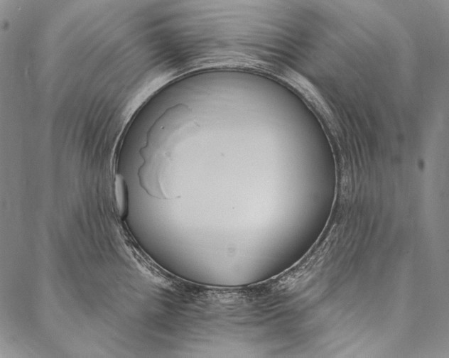 X0000087041242200705091103