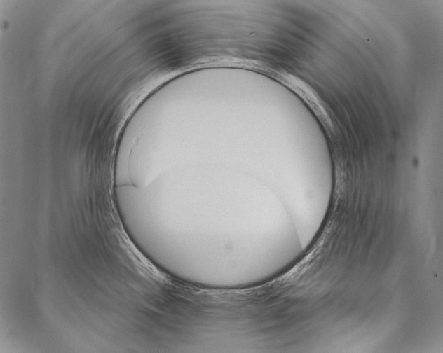 X0000087041244200705091103