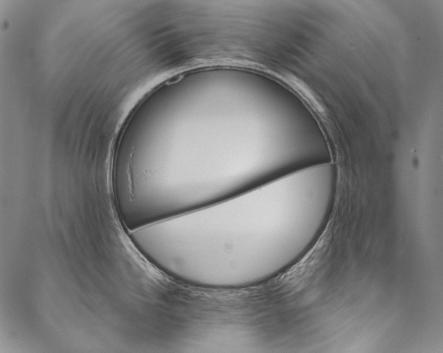 X0000087041246200705091103