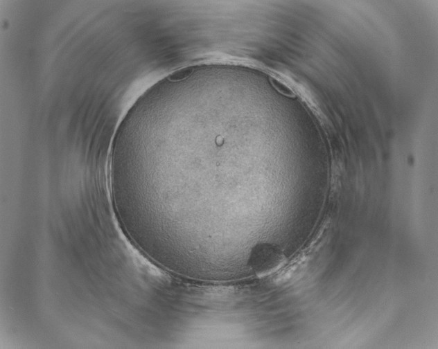 X0000087041247200705091103