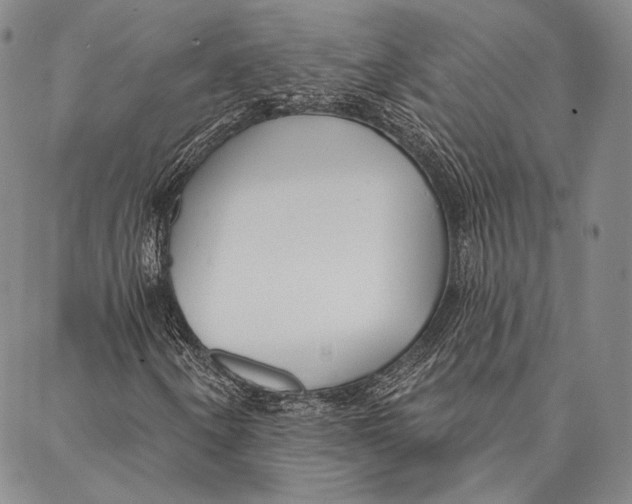X0000087041250200705091102