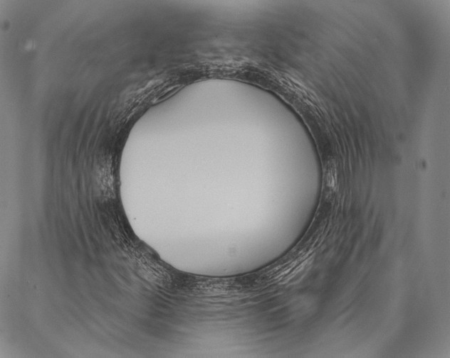 X0000087041252200705091102