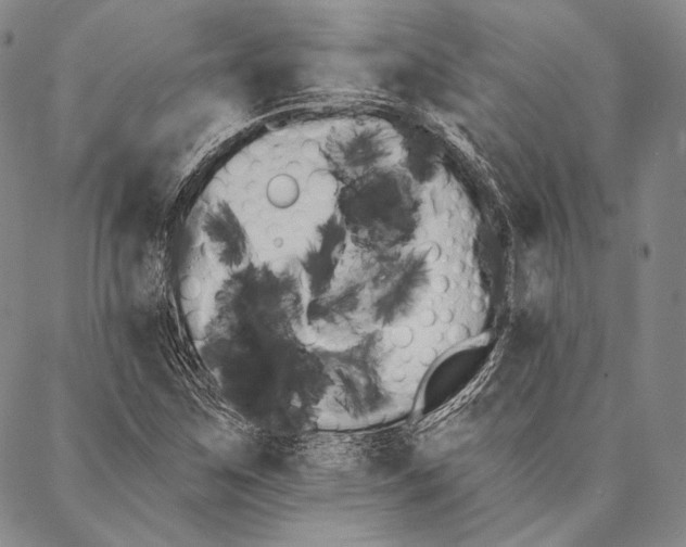 X0000087041259200705091102