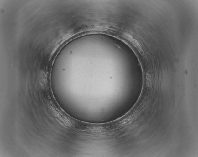 X0000087041260200705091102