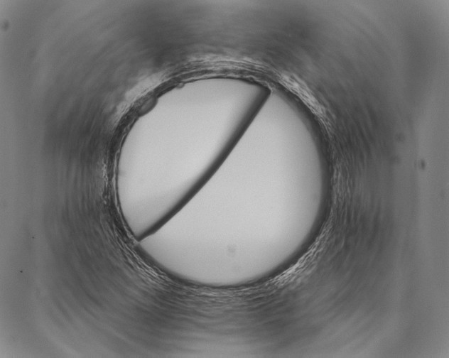 X0000087041261200705091102