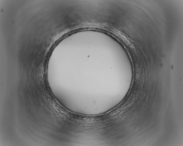 X0000087041264200705091102