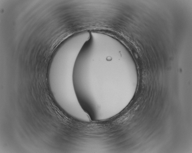 X0000087041265200705091102