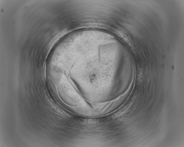 X0000087041275200705091101