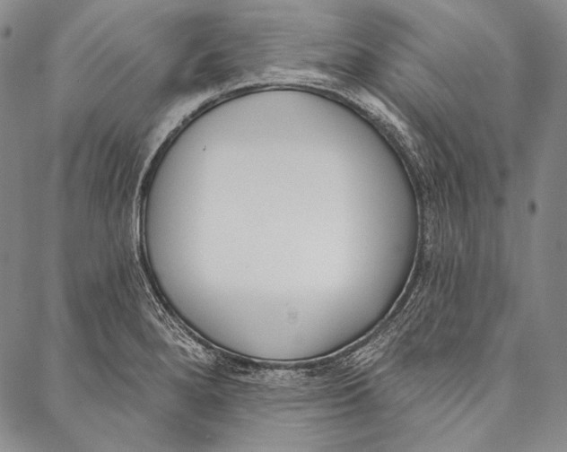 X0000087041280200705091101