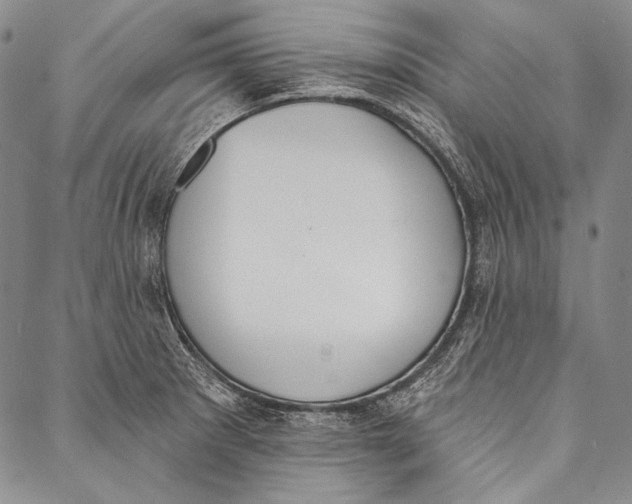 X0000087041281200705091101