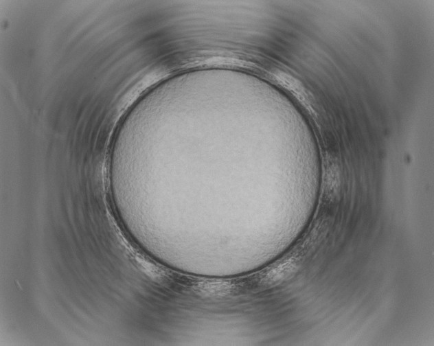 X0000087041282200705091101