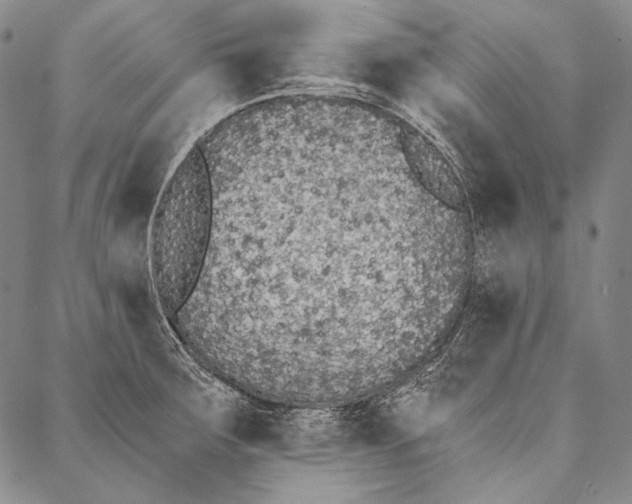 X0000087041283200705091101