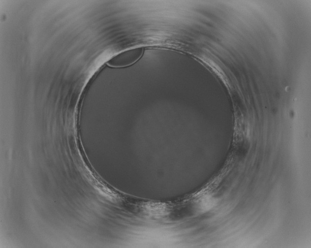 X0000087041291200705091101