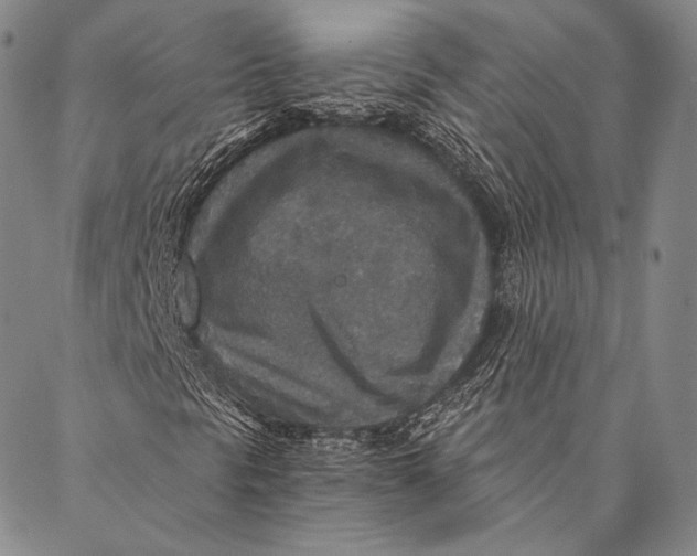 X0000087041297200705091100
